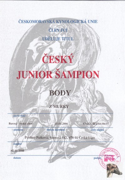 body-juniorsampion-cz.jpg